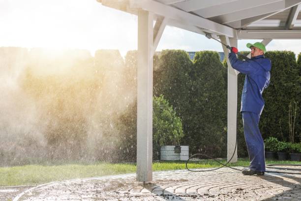 Best Pre-Holiday Cleaning  in Litchfield, MN