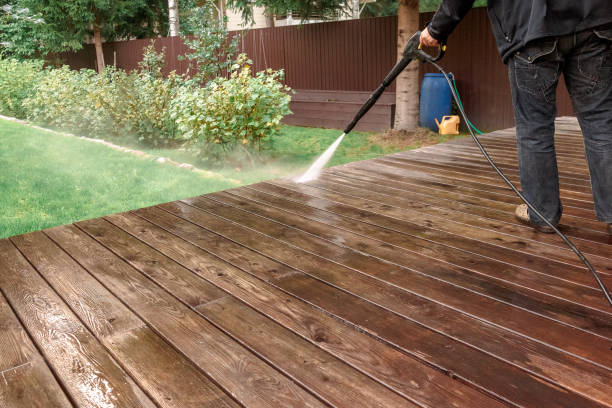 Best Spring Cleaning  in Litchfield, MN