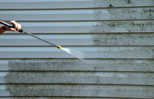 Best Restaurant Pressure Washing  in Litchfield, MN